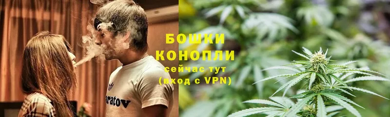 цена   гидра онион  Конопля Bruce Banner  Каменногорск 